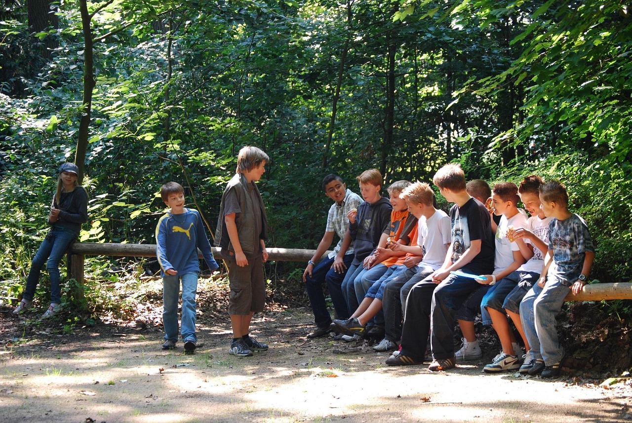 teenager, youth, forest, nature, group, youthful, guys